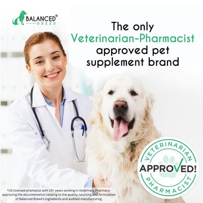 All-in-1 Canine Multivitamin Peanut Butter & Banana Flavored Soft Chew Multivitamin for Dogs, 60 count