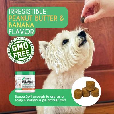 All-in-1 Canine Multivitamin Peanut Butter & Banana Flavored Soft Chew Multivitamin for Dogs, 60 count