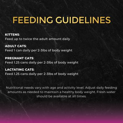 Tuna with Chicken in Gravy Wet Cat Food, 2.82-oz can, case of 24