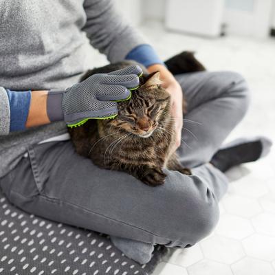 Grooming Glove, Right Hand