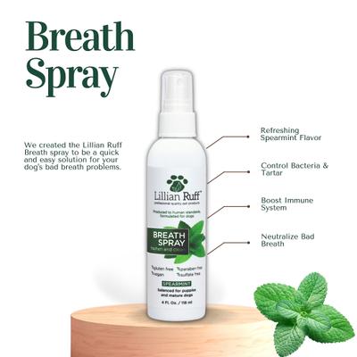 Dog & Cat Starter Pack, 16-fl oz bottles & 4-fl oz bottles, pack of 5