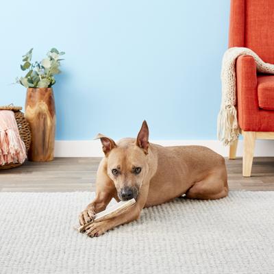Split Elk Antlers Dog Chews, X-large/Giant