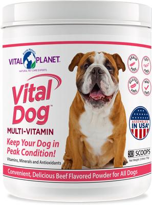Vital Dog Daily Multivitamin Beef Flavor Chewable Tablet Dog Supplement, 30 count
