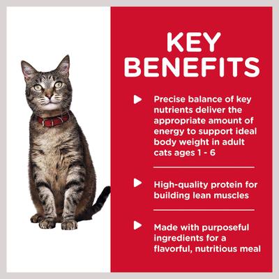 Adult Savory Turkey Entree Wet Cat Food, 5.5-oz can, case of 24