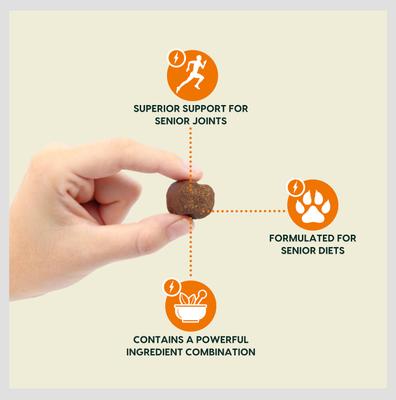 Gray Muzzle Old Bones Happy Joints Maximum Strength Soft Chew Joint Supplement for Senior Dogs, 16-oz bag