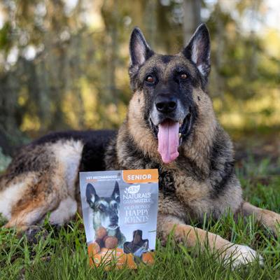 Gray Muzzle Old Bones Happy Joints Maximum Strength Soft Chew Joint Supplement for Senior Dogs, 16-oz bag