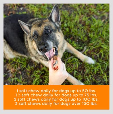 Gray Muzzle Old Bones Happy Joints Maximum Strength Soft Chew Joint Supplement for Senior Dogs, 16-oz bag