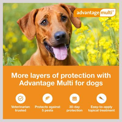 Topical Solution for Dogs, 55.1-88 lbs, (Blue Box), 6 Doses (6-mos. supply)