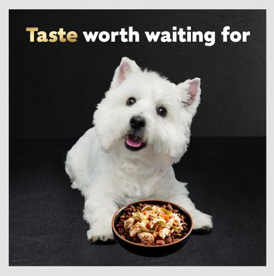 Simply Crafted Chicken, Carrots & Green Beans Limited-Ingredient Wet Dog Food Topper, 1.3-oz, case of 10