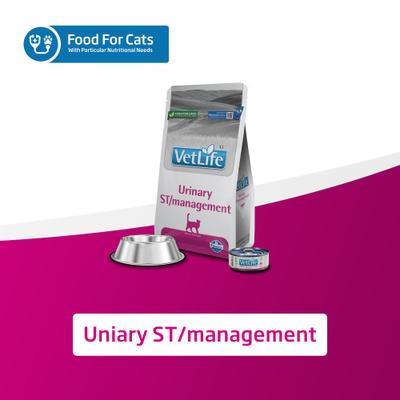 Urinary St Management Feline Dry Cat Food, 11-lb bag