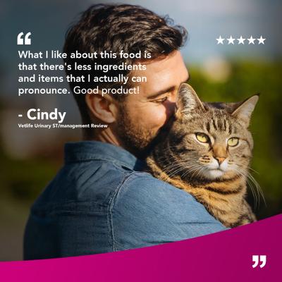 Urinary St Management Feline Dry Cat Food, 11-lb bag