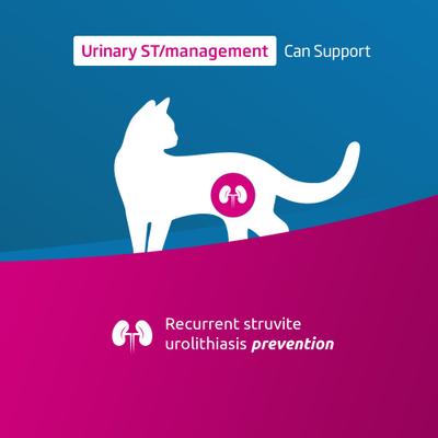 Urinary St Management Feline Dry Cat Food, 11-lb bag