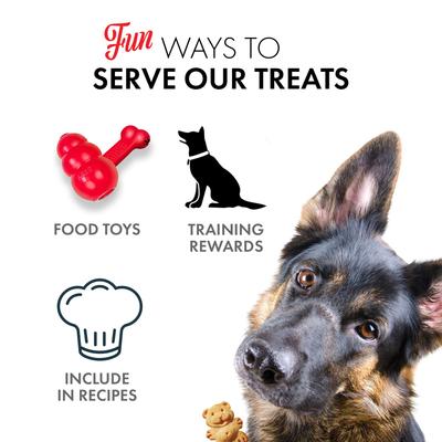 Organic Pumpkin Oven Baked Dog Treats, 14-oz bag