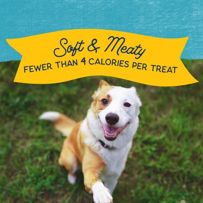Rewards Minis with Real Turkey Dog Treats, 5.3-oz bag