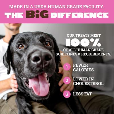 Big Yumm Sticks Adult Hickory Smoked Pork Human-Grade Jerky Dog Treats, 1 count