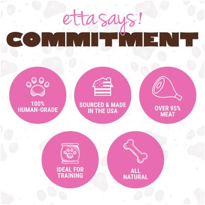 Big Yumm Sticks Adult Hickory Smoked Pork Human-Grade Jerky Dog Treats, 1 count