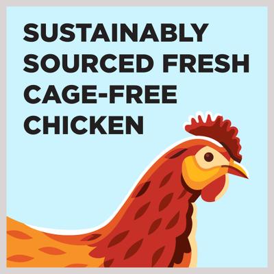 Liberty Limited Ingredient Chicken Recipe Canned Dog Food, 12.5-oz can, case of 12