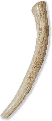 Whole Elk Antler Dog Chews, 8 - 9.5 in