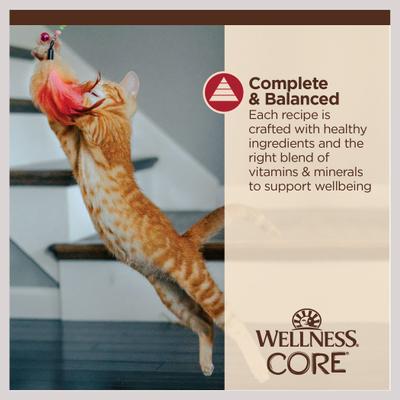 CORE Tiny Tasters Chicken & Beef Grain-Free Minced Wet Cat Food, 1.75-oz pouch, case of 12
