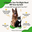 BM Tone-Up GOLD for Diarrhea for Dogs & Cats, 2-oz bottle