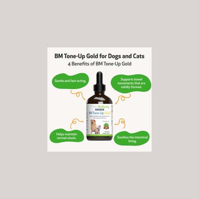 BM Tone-Up GOLD for Diarrhea for Dogs & Cats, 2-oz bottle