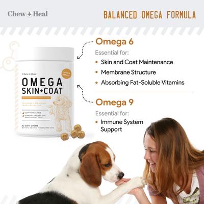 Omega Skin + Coat Dog Supplement, 2 pack, 120 count