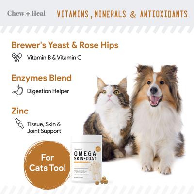 Omega Skin + Coat Dog Supplement, 2 pack, 120 count