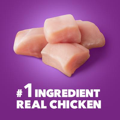 Advanced Health Skin & Coat Chicken & Salmon Recipe Adult Dry Dog Food, 6-lb bag