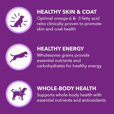 Alimento seco para perros adultos Advanced Health Skin & Coat con receta de pollo y salmón, bolsa de 6 lb