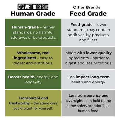 Grain-Free Pumpkin & Quinoa Flavor Dog Treats, 14-oz box