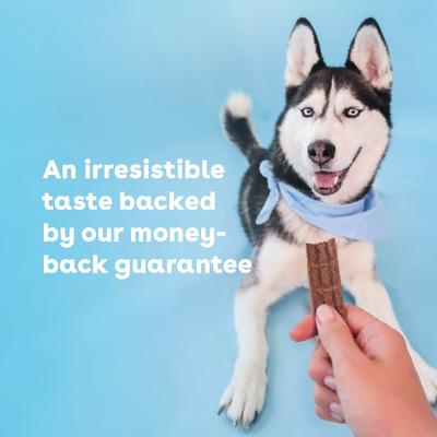 Pork High-Protein Jerky Dog Treats, 10-oz bag