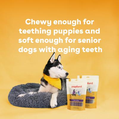 Pork High-Protein Jerky Dog Treats, 10-oz bag