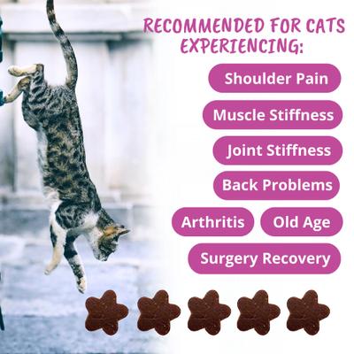 Mobility Soft Chews Cat Supplement, 3.17-oz bag