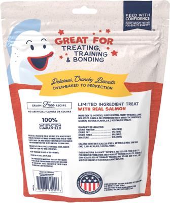 Rewards Salmon Flavored Crunchy Biscuit Dog Treats, 14-oz bag