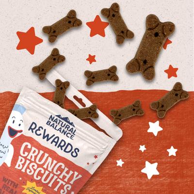 Rewards Salmon Flavored Crunchy Biscuit Dog Treats, 14-oz bag