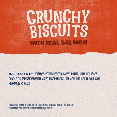 Rewards Salmon Flavored Crunchy Biscuit Dog Treats, 14-oz bag