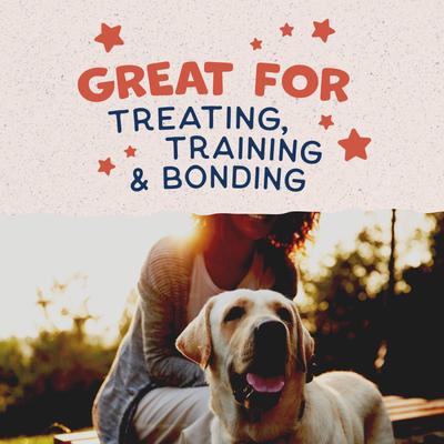 Rewards Salmon Flavored Crunchy Biscuit Dog Treats, 14-oz bag