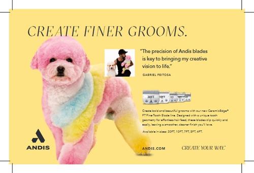 CeramicEdge Pet Tooth Cutter, 22T Fine