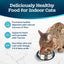 Bundle: Blue Buffalo Indoor Health Chicken & Brown Rice Recipe Adult Dry Food + Bursts with Paw-Licken Chicken Cat Treats