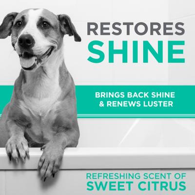 PerfectFur Smooth Coat Shed Reducing Dog Shampoo, 16-fl oz bottle