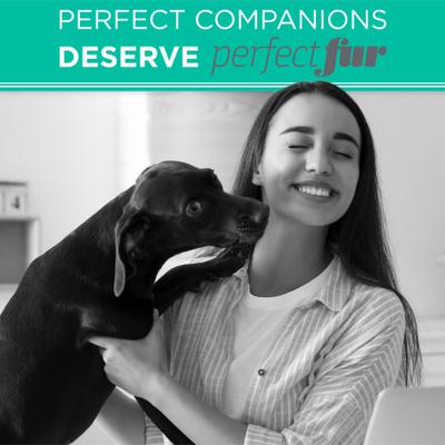 PerfectFur Smooth Coat Shed Reducing Dog Shampoo, 16-fl oz bottle