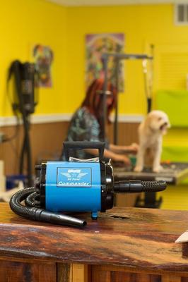 Air Force Commander Two-Speed Pet Dryer, Blue