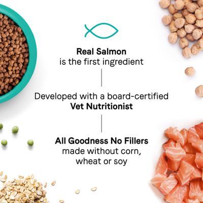 Goodness for Skin & Coat Real Salmon Adult Dry Cat Food, 5-lb bag