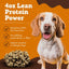 Single Ingredient Bison Liver Freeze-Dried Dog & Cat Treats, 4-oz bag