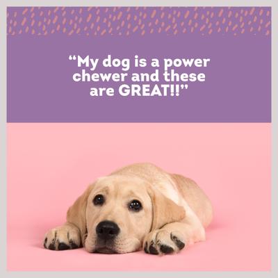 5.5-in Bacon Cheese Stuffed Shin Bone Dog Treat, 2 count