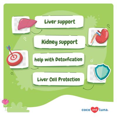 Coco and Luna Milk Thistle Hepatic Support Soft Chew Liver & Kidney Supplement for Dogs, 90 count