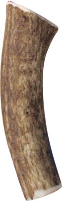 Wild Whole Elk Antler Dog Chew, Medium
