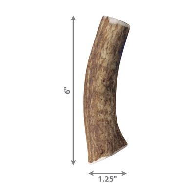 Wild Whole Elk Antler Dog Chew, Medium