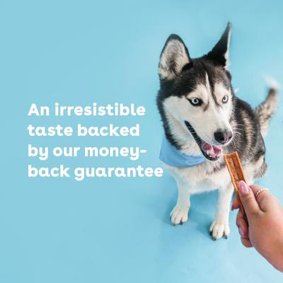 Chicken High-Protein Jerky Dog Treats, 10-oz bag