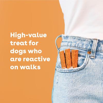 Chicken High-Protein Jerky Dog Treats, 10-oz bag